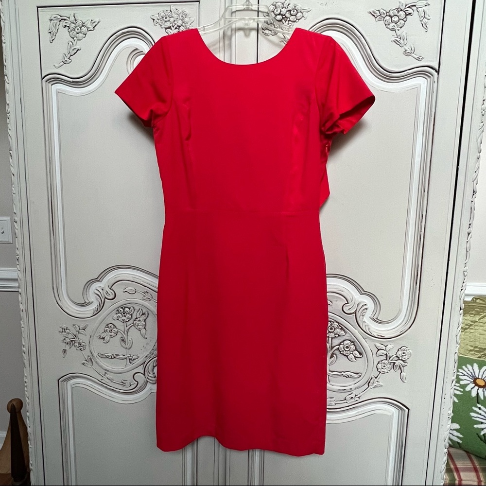 Women's Alex Marie - Short sleeved Dress - Poppy - Size 6